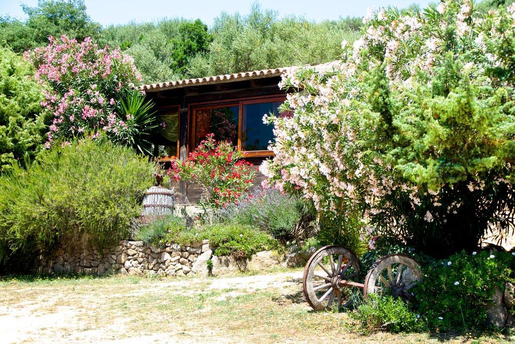 Vila Agriturismo Sardo Campavaglio Exteriér fotografie
