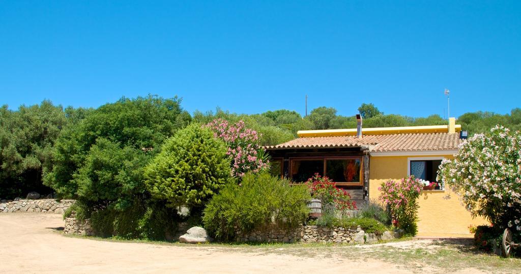 Vila Agriturismo Sardo Campavaglio Exteriér fotografie