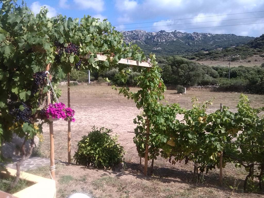 Vila Agriturismo Sardo Campavaglio Exteriér fotografie