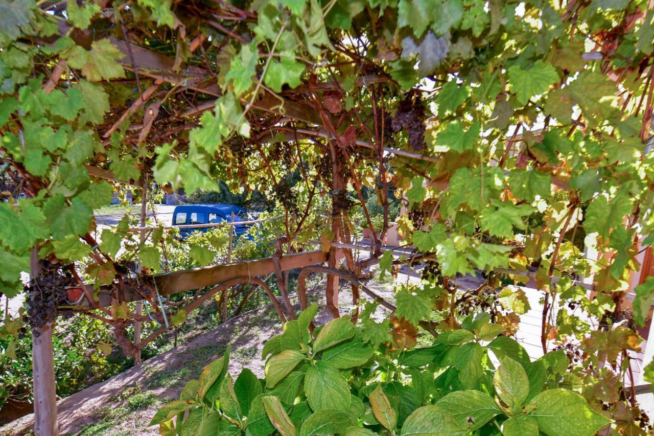 Vila Agriturismo Sardo Campavaglio Exteriér fotografie