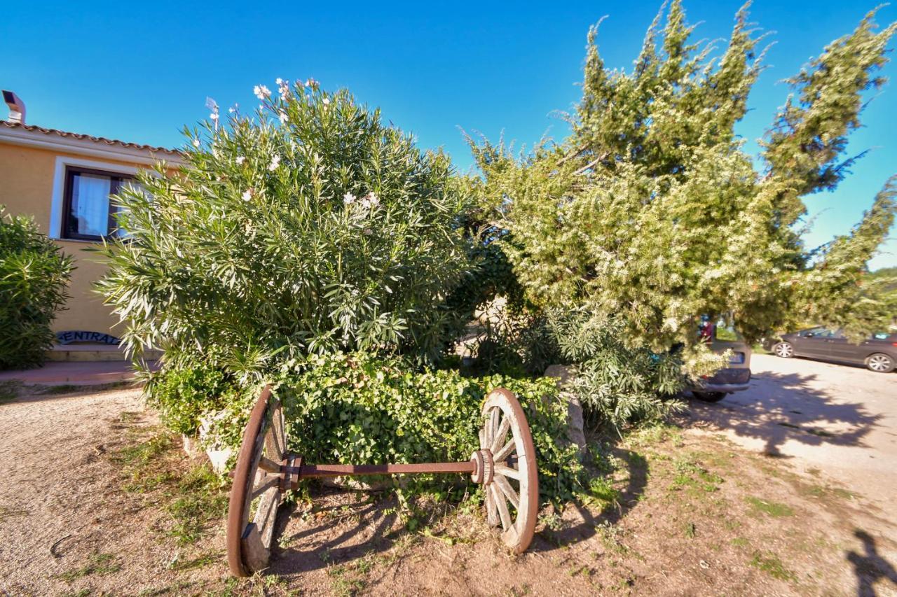 Vila Agriturismo Sardo Campavaglio Exteriér fotografie